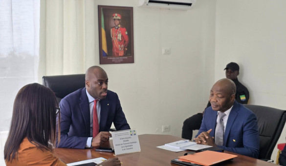 AUDIENCE AVEC LES AMBASSADEURS DES PAYS MEMBRES INSTITUT AFRICAIN D&rsquo;INFORMATIQUE